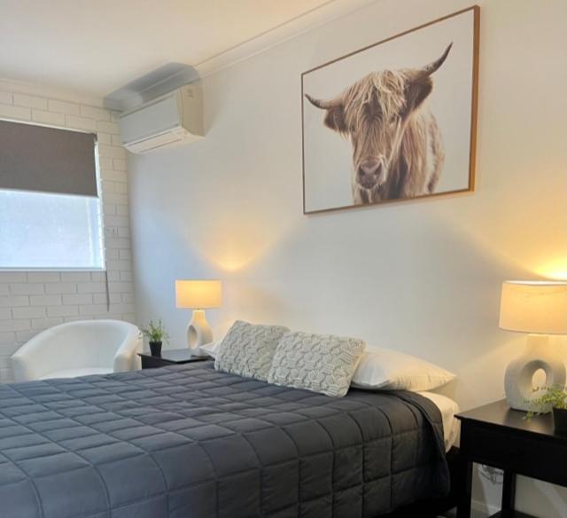 ארמידייל Estelle Kramer Motel מראה חיצוני תמונה